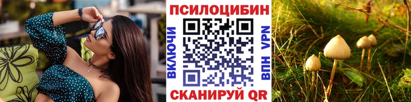 что такое   Инсар  Галлюциногенные грибы Psilocybine cubensis 